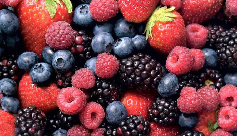 La Diputación acuerda impulsar un centro de referencia de frutos rojos en Huelva