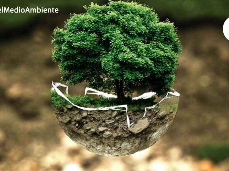 Un medio rural vivo es la mejor garantía para el medio ambiente y la sostenibilidad