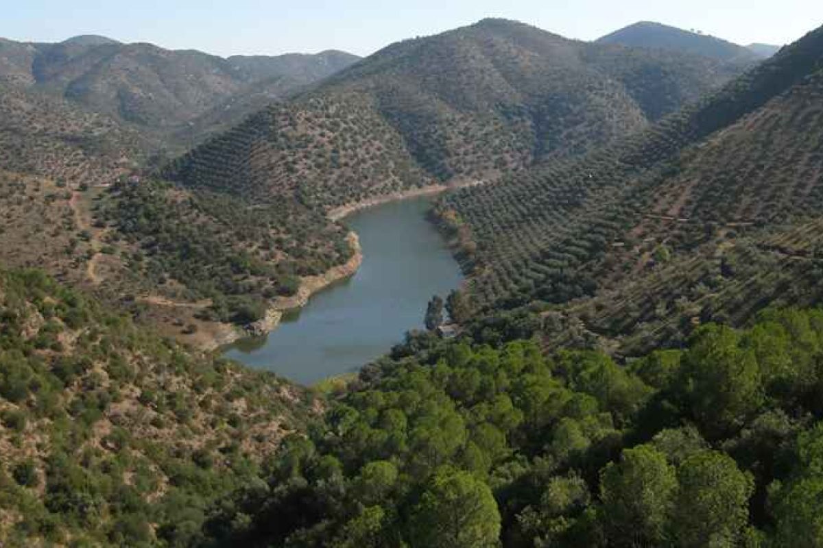 Un proyecto de la Universidad de Córdoba recuperará la tradición culinaria del pasado histórico de la sierra Morena de Córdoba