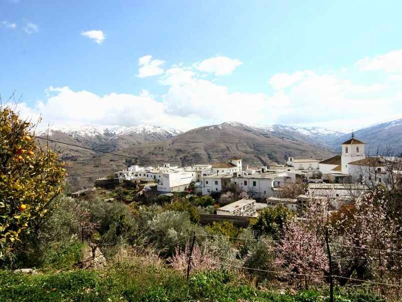 Borrador de la nueva PAC: la CE mantiene la propuesta de bajar las ayudas directas y elevar el Desarrollo Rural