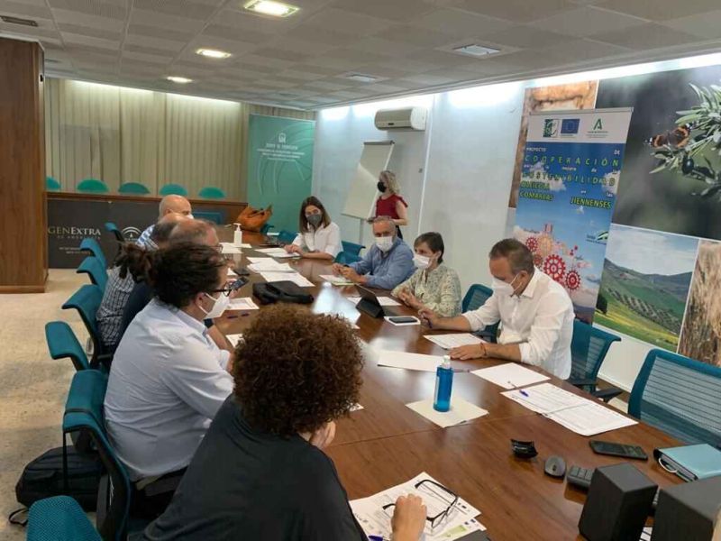Los GDR de Jaén cooperan para hacer más competitivo y sostenible el sector oleícola de sus comarcas
