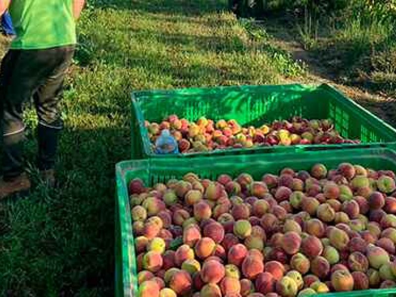 9fa9c513e4f35a41590489429 3dbb62ba