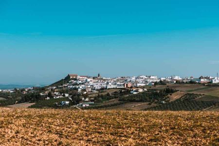img montillla 002 3d5991b4