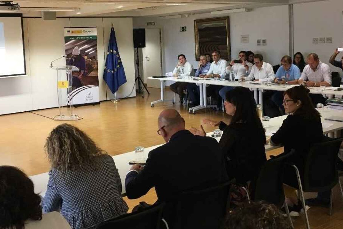 La segunda reunión del Subgrupo LEADER  de la RRN plantea los problemas de LEADER en el medio rural