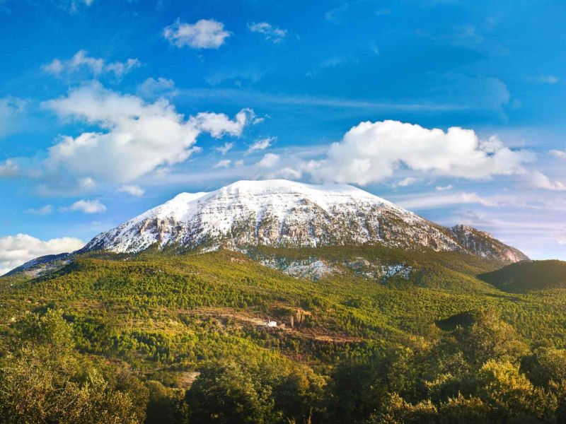 Francisco Torregrosa, presidente GDR Altiplano de Granada: “LEADER da la oportunidad a las zonas rurales de ser partícipes en su propio desarrollo”