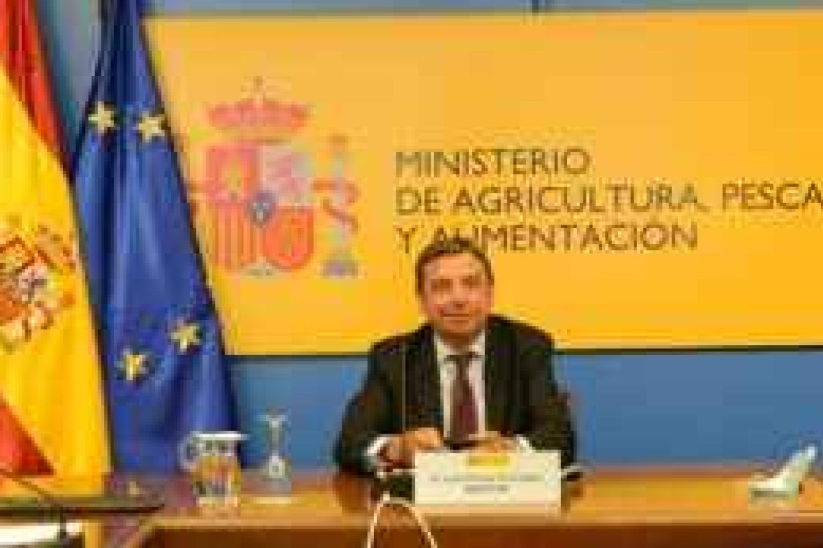 Planas da por hecho que la nueva PAC podría estar aprobada en octubre y aúna esfuerzos con Francia