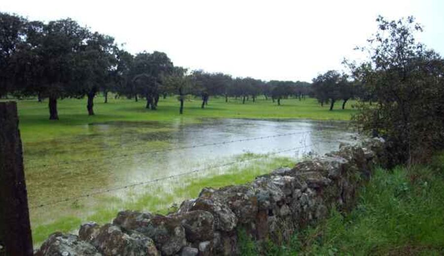 El Ministerio de Agricultura, Pesca y Alimentación organiza un congreso para debatir sobre “La arquitectura verde de la PAC post 2020”