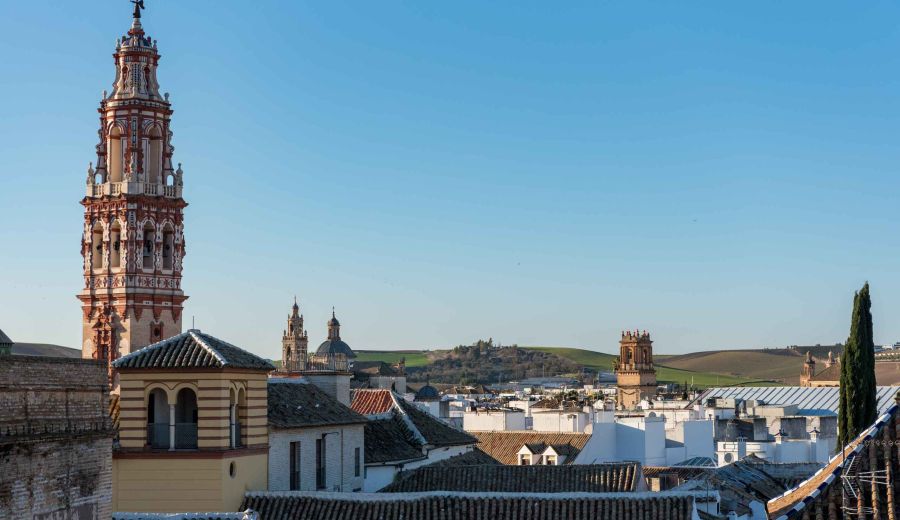 El MITECO y la FEMP acuerdan una mayor participación de las entidades locales en la gestión de los fondos del Plan de Recuperación, Transformación y Resiliencia