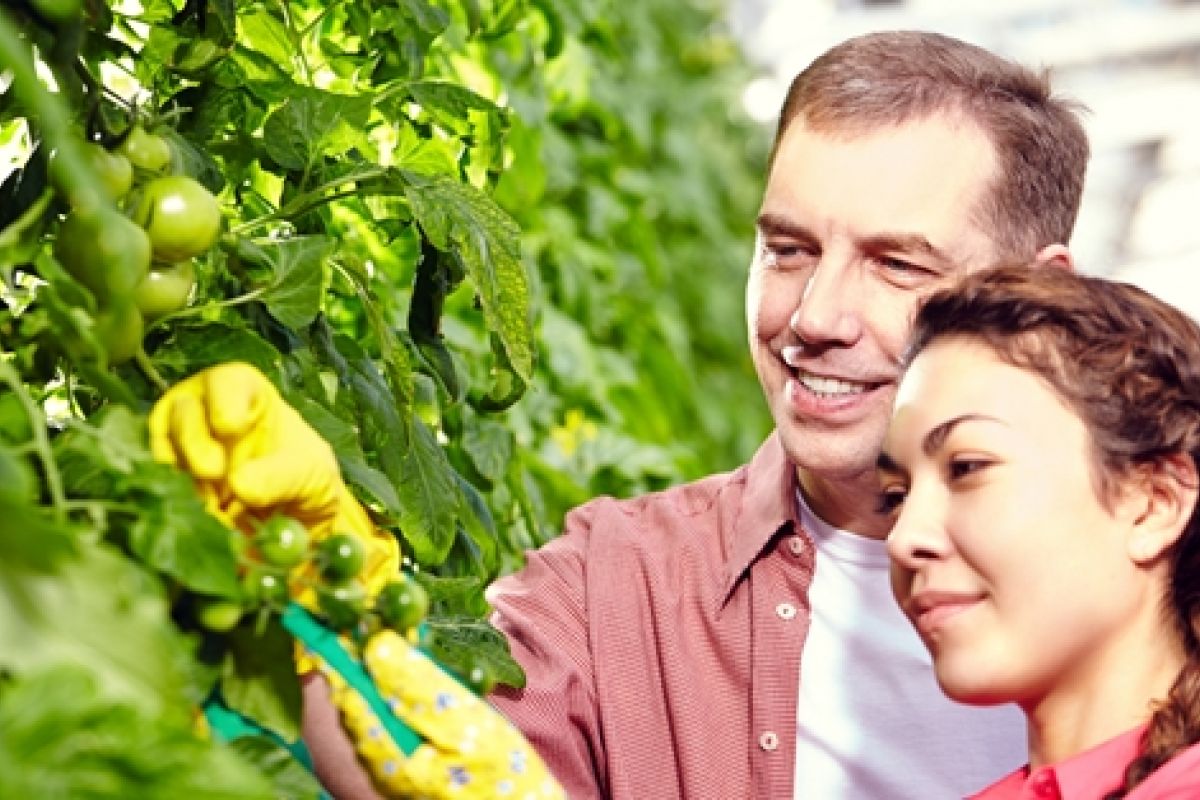 Nueva edición del programa Cultiva de formación para la juventud agroganadera