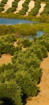 img juan perez cordoba 40dd0072