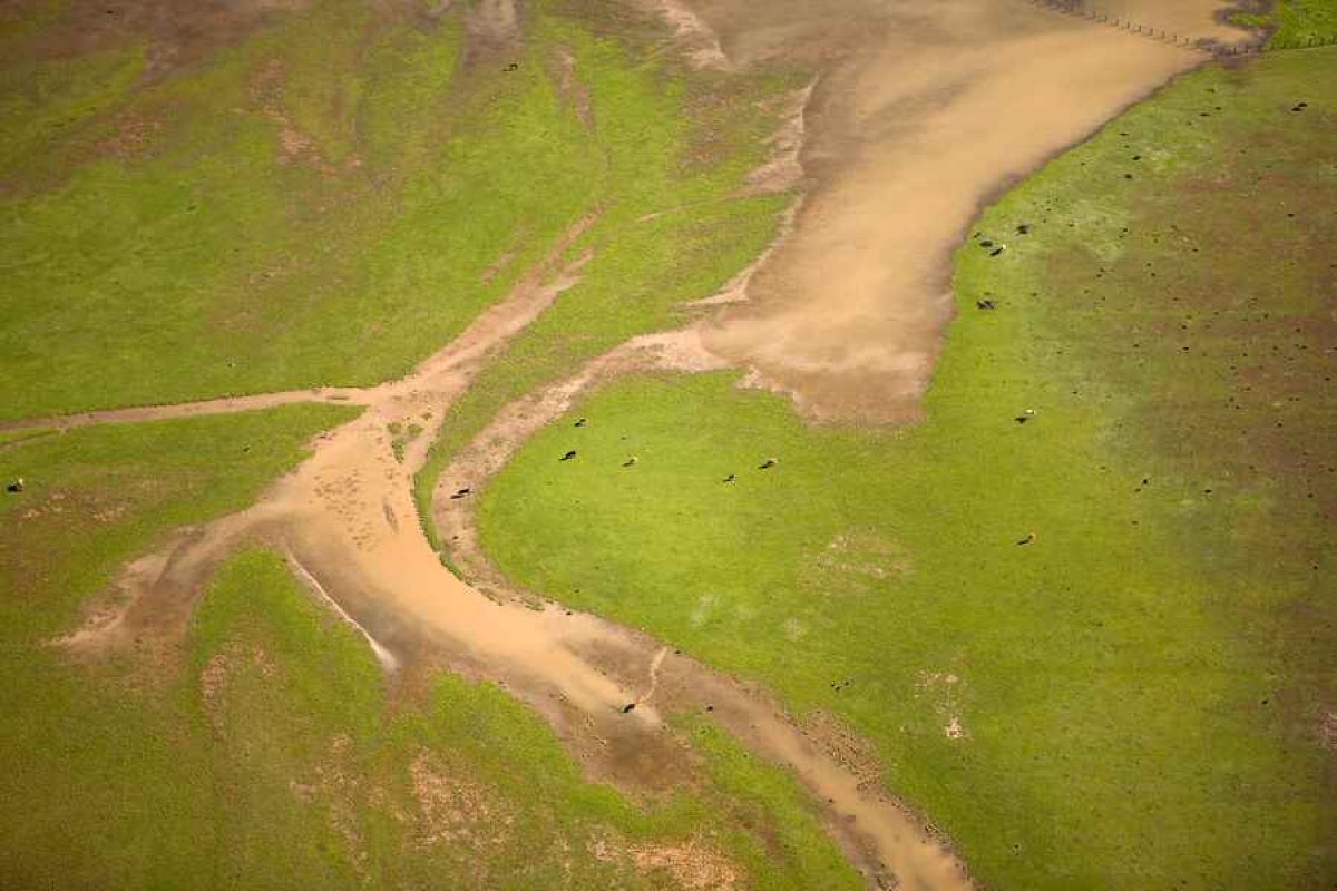 La Junta convoca los Premios Andalucía de Medio Ambiente 2020 y añade una categoría al compromiso ambiental