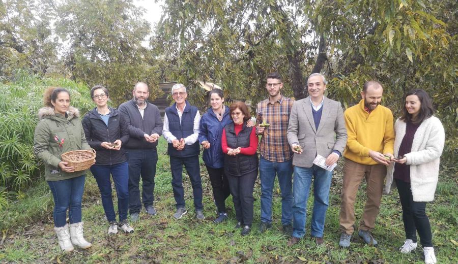 Comienza la temporada de la nuez Pacana en el Valle del Guadalhorce