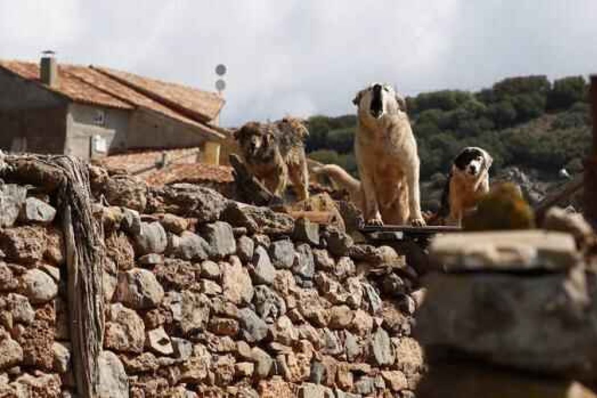 Siete razones para un mundo rural justo y sostenible