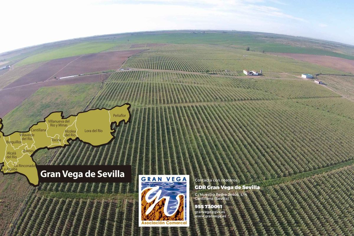 Juan Carlos Expósito, presidente del GDR Gran Vega de Sevilla: “LEADER es, para muchos, la última oportunidad para crear un negocio en el medio rural antes de abandonarlo”