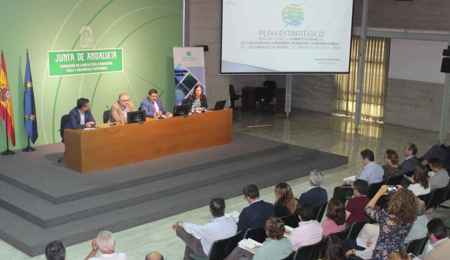 Agricultura avanza de la mano del sector andaluz en la elaboración del Plan Estratégico para mejorar la competitividad