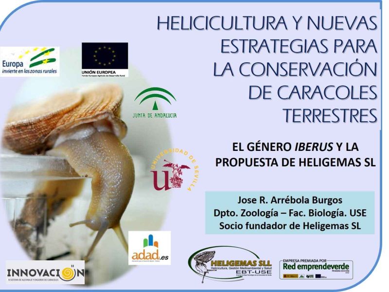 El GO “Innovación en Sistema de Alevinaje y Engorde de Caracoles” participa en el Foro Anual de Malacología en Vigo