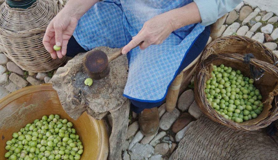 El Valle del Guadalhorce, el mejor biodistrito ecológico