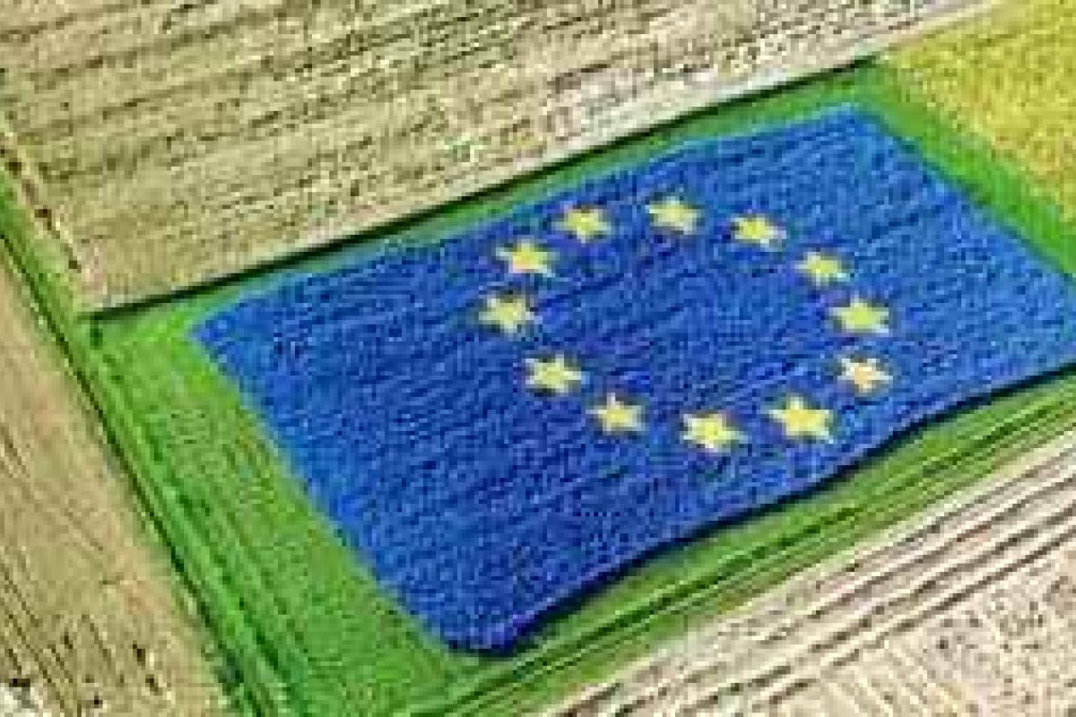 Documentos del Ministerio de Agricultura sobre necesidades y diagnóstico de LEADER post 2020 para el Plan Estratégico Nacional
