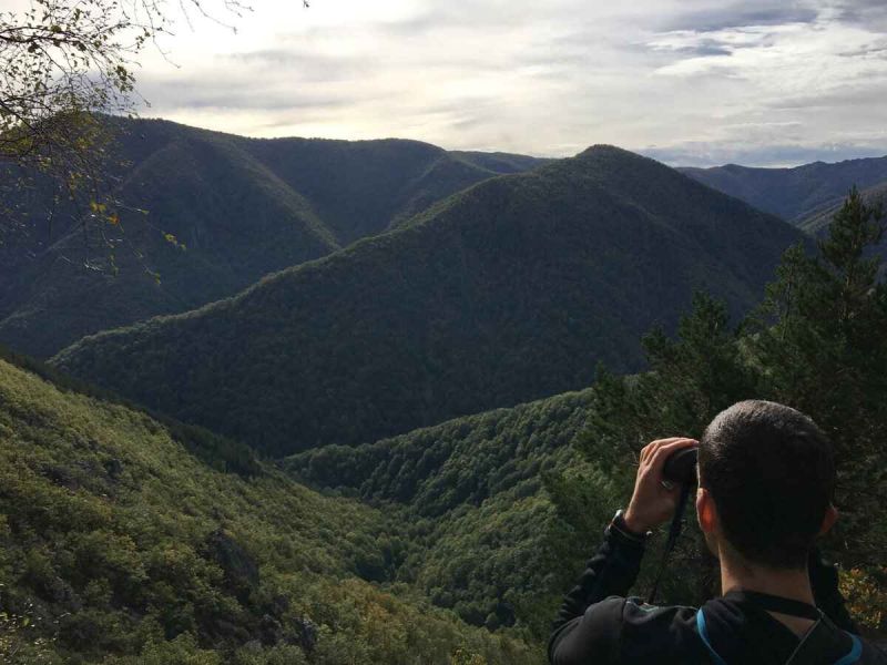 El taller ‘El Ticket Rural’ de READER es acogido con gran expectativa en el marco del Parlamento Rural Europeo
