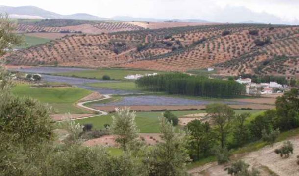 Grupo de Desarrollo Rural Los Montes de Granada