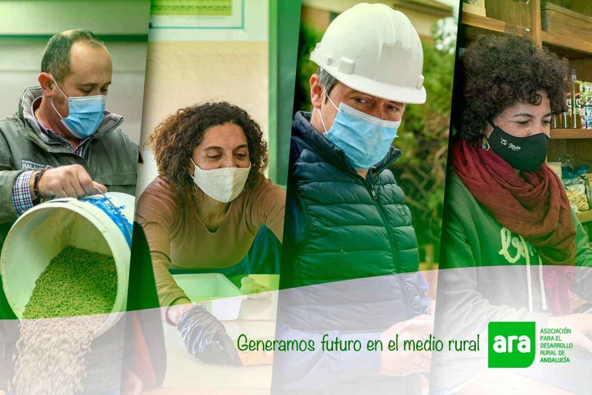 El Consejo de Gobierno aprueba medidas de empleo en apoyo a mujeres en los ámbitos rural y urbano