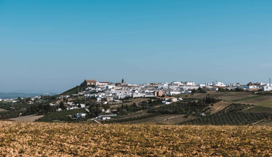 Los Grupos LEADER, en una buena posición para impulsar el potencial del Pacto Rural para hacer realidad la visión a largo plazo de Europa para las zonas rurales