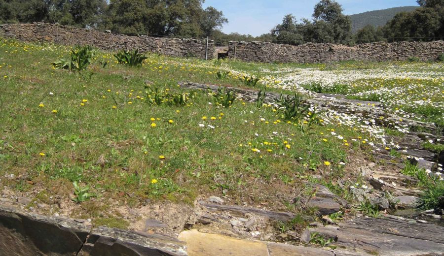 El GDR Sierra de Aracena y Picos de Aroche apoya con LEADER nuevos incentivos a empresas agroalimentarias y asociaciones del territorio