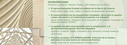 333446572 1234707317473613 985507021242549633 n 48ff5153