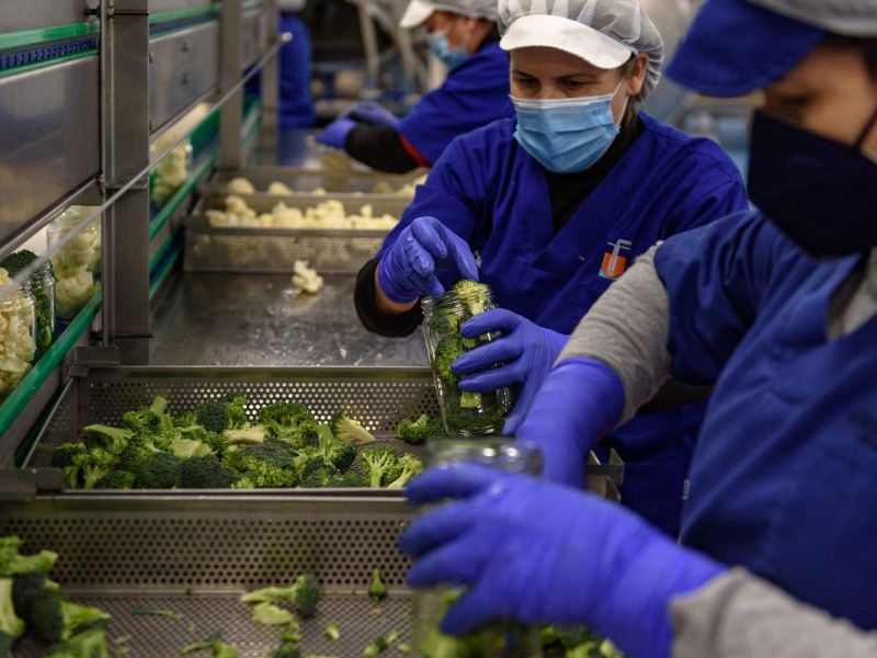 Subvenciones en régimen de concurrencia no competitiva del Programa de Apoyo a mujeres en los ámbitos rural y urbano