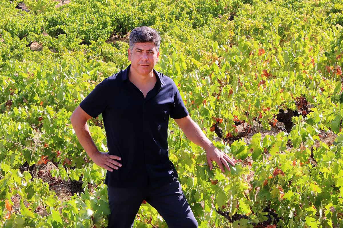 bienvenida presidente ara rafael llamas salas 48b9ed39