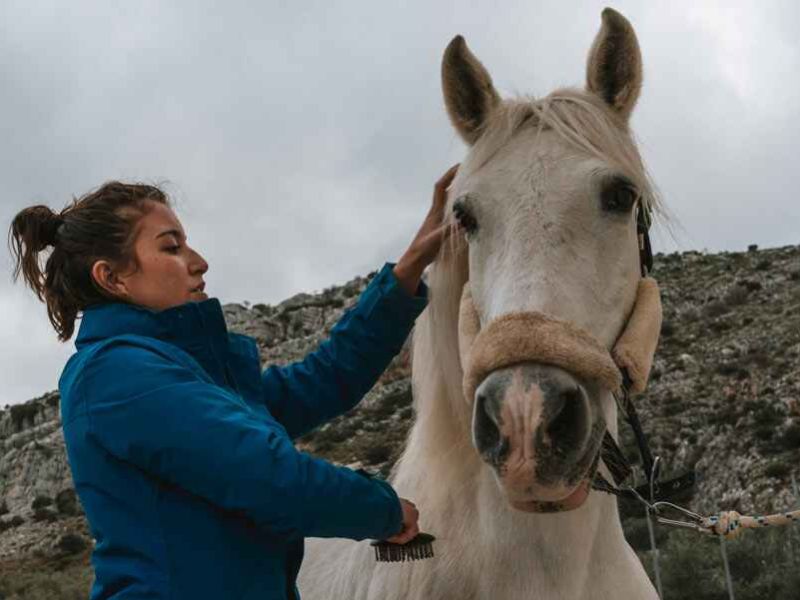 El futuro es de las mujeres rurales