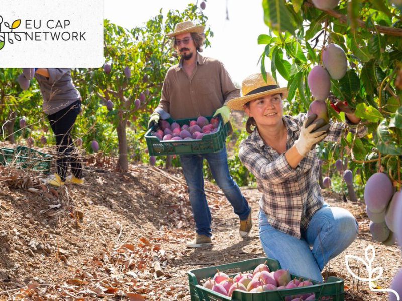 Fondos Europeos evalúa a LEADER como motor del desarrollo rural andaluz 2015-2021 y da recomendaciones para mejorar su aplicación