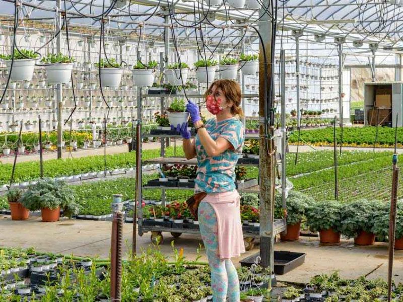 GDR Tolox Jardineria Sierra Bella 52 49226031