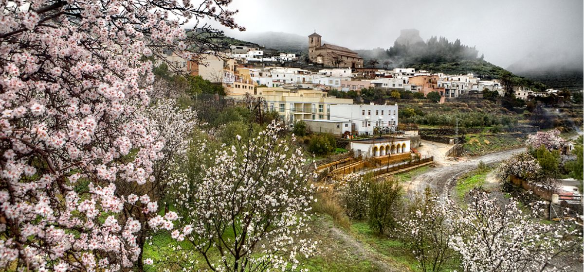 img gdr filabres alhamilla 49a30f18