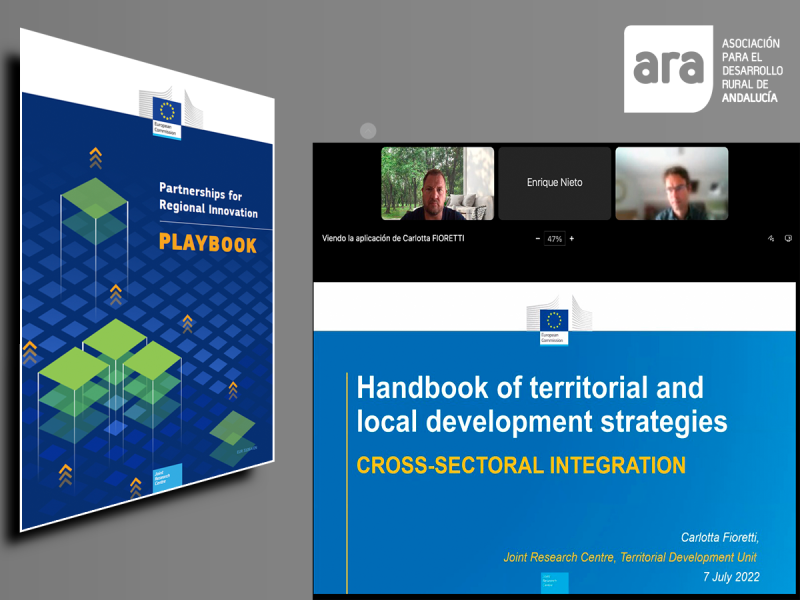 ARA participa en la validación del Manual de las Estrategias Integradas de Desarrollo Territorial y Local del JRC de la Comisión Europea