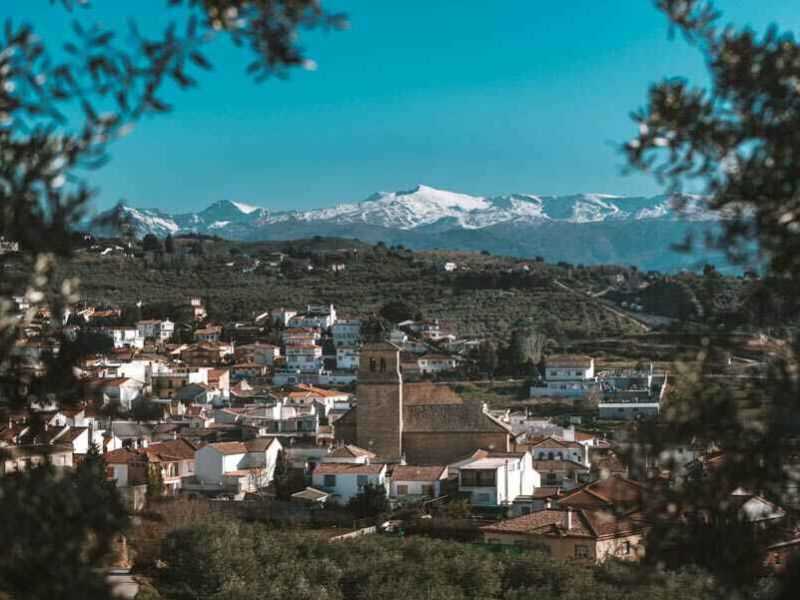 Carmen Crespo, consejera de Agricultura: “El compromiso del Ejecutivo andaluz con el medio rural se traduce en respuestas que permitirán salir antes de la crisis” 