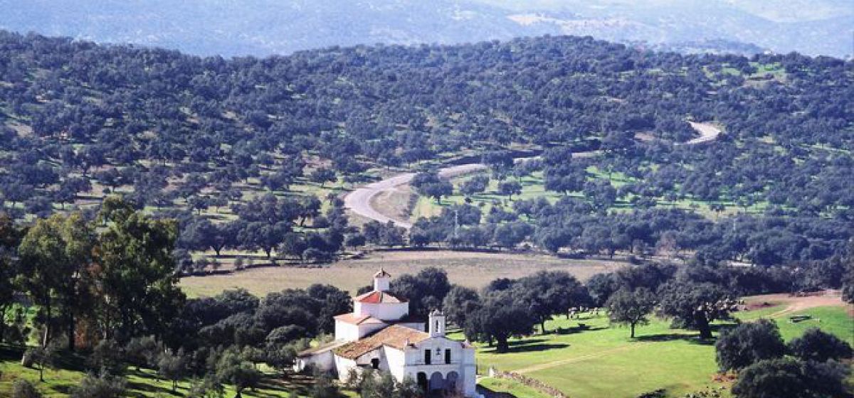 sierra morena sevillana 4ace2db7