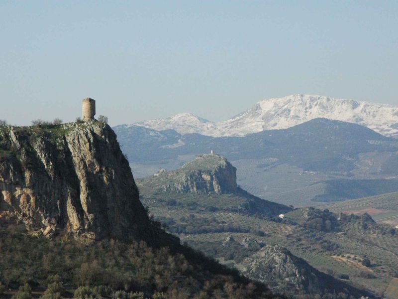 Agricultura anuncia la elaboración de protocolos de actuación con las diputaciones andaluzas para proyectos de ámbito rural