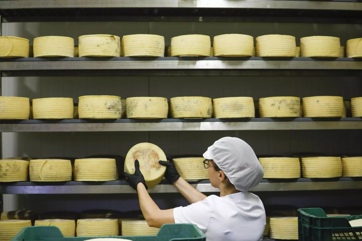 El GDR Los Pedroches participa en un Grupo Operativo para certificar la singularidad del queso de la dehesa cordobesa