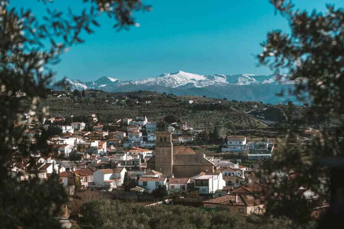 Carmen Crespo, consejera de Agricultura: “El compromiso del Ejecutivo andaluz con el medio rural se traduce en respuestas que permitirán salir antes de la crisis” 