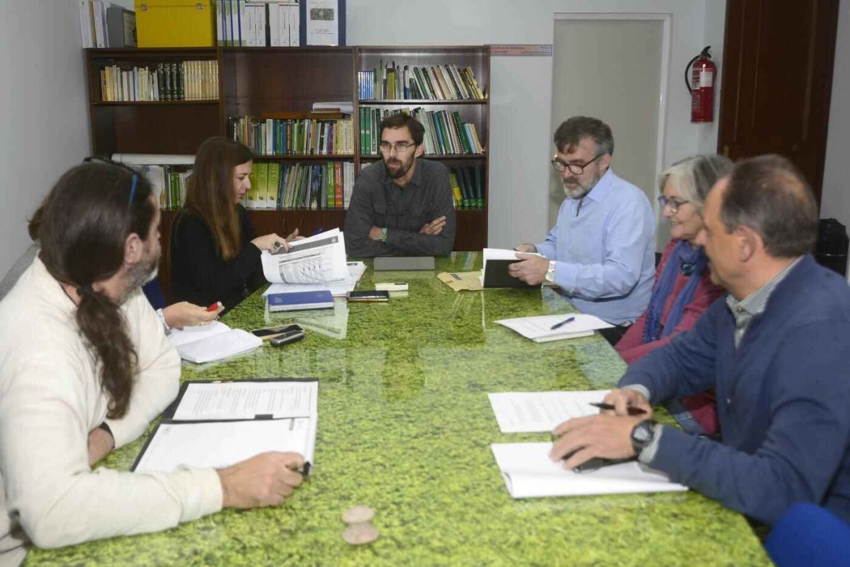 Más reforestación en el Descansadero del Gallo
