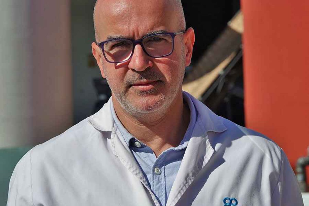 Global Olive Consulting revoluciona la producción de aceituna de mesa con la digitalización del proceso