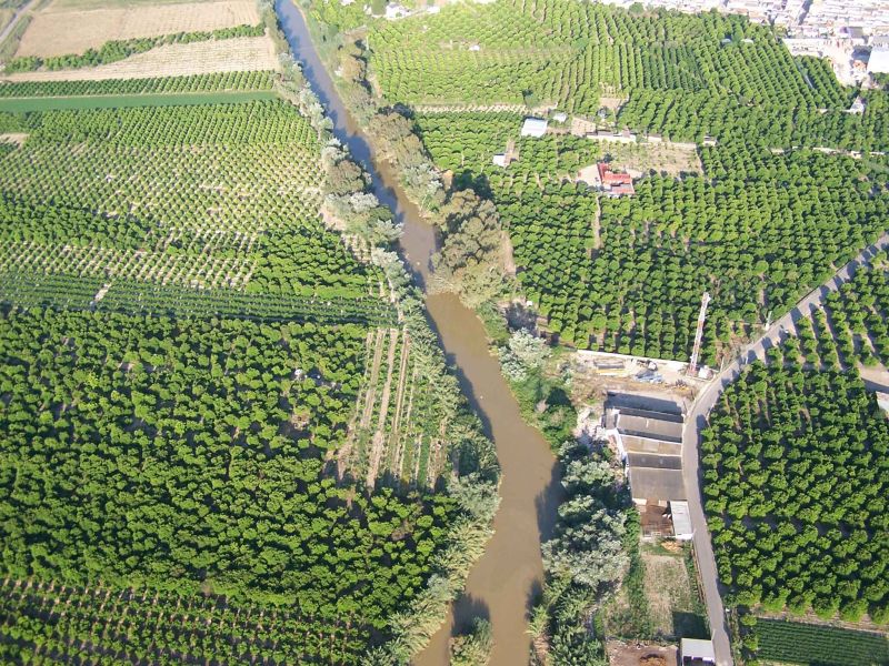 El Observatorio Citrícola emplea nuevas tecnologías de datos para una citricultura más sostenible en el Valle del Guadalquivir