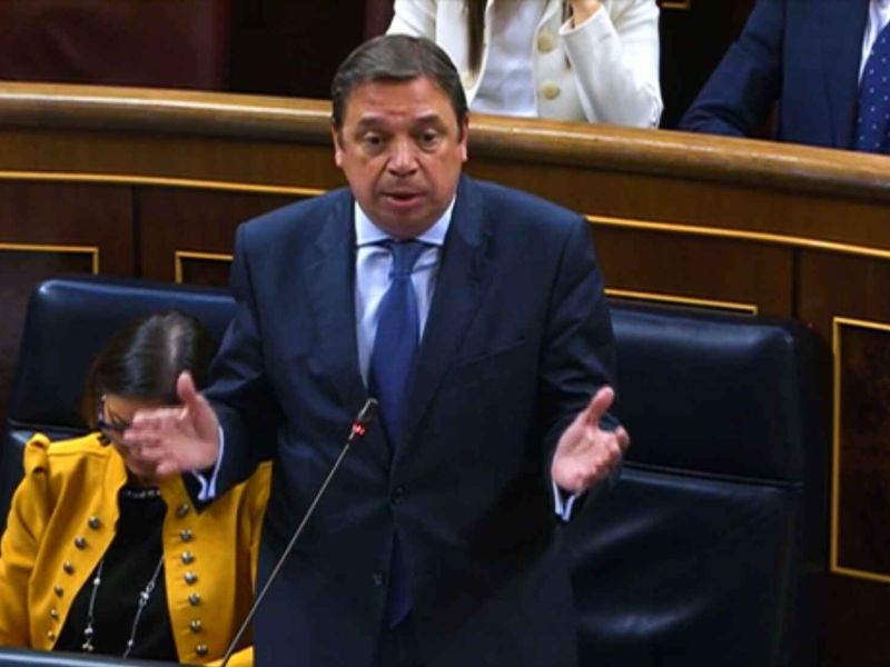 Luis Planas valora positivamente el trabajo del Gobierno en defensa de los agricultores y ganaderos en la PAC