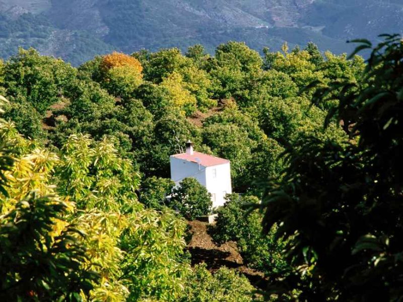 Andalucía es la comunidad autónoma de España con más Reservas de la Biosfera