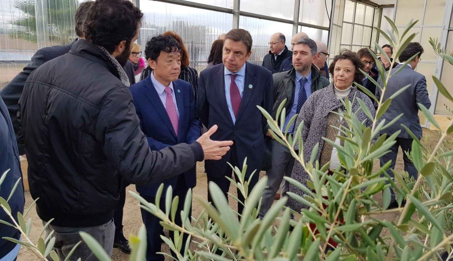 Luis Planas destaca que la innovación agroalimentaria es clave para afrontar los nuevos desafíos sociales, económicos y medioambientales