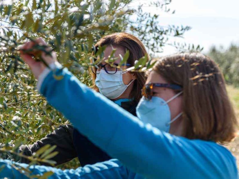 Convocadas las subvenciones para explotaciones agrarias de titularidad compartida
