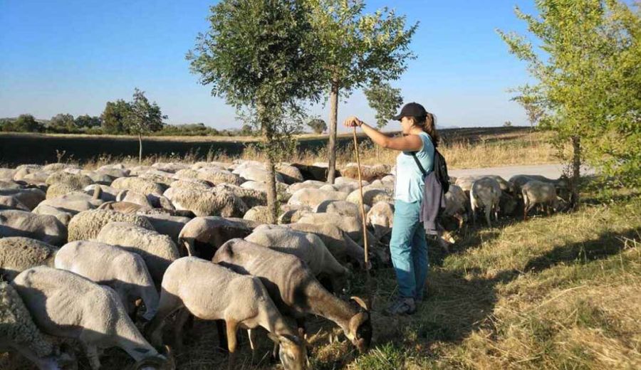 La Escuela de Pastores de Andalucía 2020 amplía el plazo de inscripción por el Covid-19