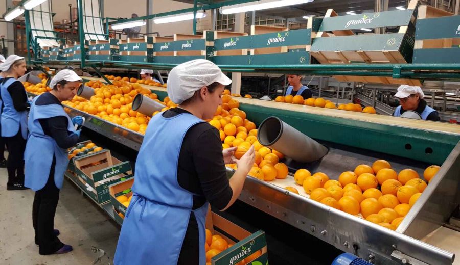 El Ministerio de Agricultura, Pesca y Alimentación apuesta por la igualdad como herramienta de futuro en el medio rural y el sector pesquero