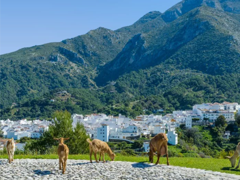 Arranca la ruta en bicicleta del MITECO que visibilizará proyectos de innovación y transformación territorial con parada en Andalucía